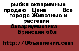 рыбки акваримные продаю › Цена ­ 30 - Все города Животные и растения » Аквариумистика   . Брянская обл.